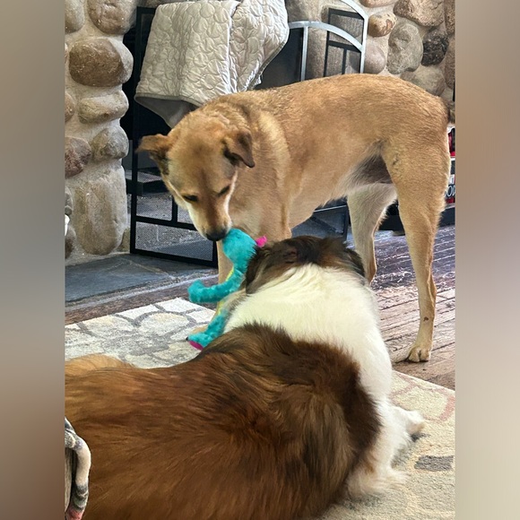 TAG LIST - Picture 3 of 12